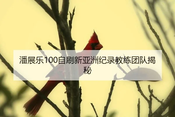 pan-zhan-le-zi-shua-xin-ya-zhou-ji-lu-jiao-lian-tuan-dui-jie-mi-2-910.jpg